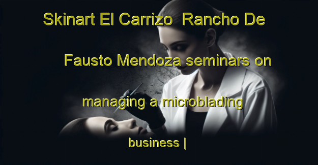 Skinart El Carrizo  Rancho De Fausto Mendoza seminars on managing a microblading business | MicrobladingTraining | MicrobladingClasses | SkinartTraining-Mexico